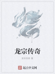 龙宗传奇