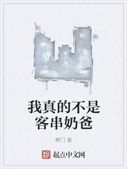 钚龙领域